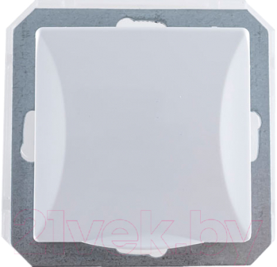 Розетка TIMEX Opal OPBL-GPT17-H - фото