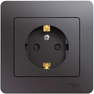 Розетка Schneider Electric Glossa GSL001344 - фото