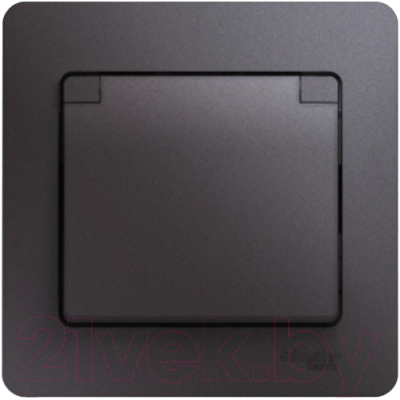 Розетка Schneider Electric Glossa GSL001346 - фото