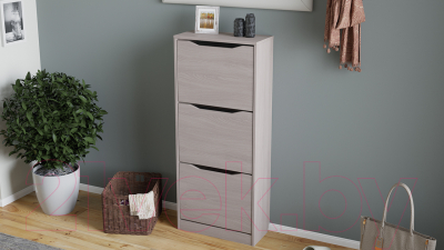 Тумба для обуви ТриЯ Тетра тип 1 (ясень шимо)