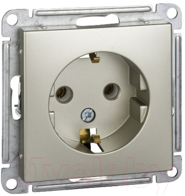 Розетка Systeme (Schneider) Electric W59 RS16-154-4-86 - фото