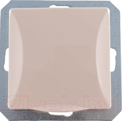 Розетка TIMEX Opal OPBE-GPT17-H - фото