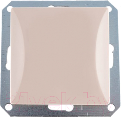 Выключатель TIMEX Opal OPBE-WP8-S - фото