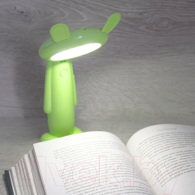 Декоративное освещение Darvish DV-H-1160