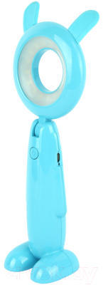 Декоративное освещение Darvish DV-H-1160