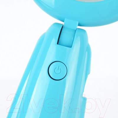 Декоративное освещение Darvish DV-H-1160