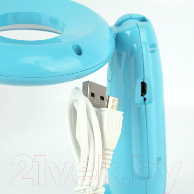 Декоративное освещение Darvish DV-H-1160