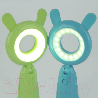 Декоративное освещение Darvish DV-H-1160