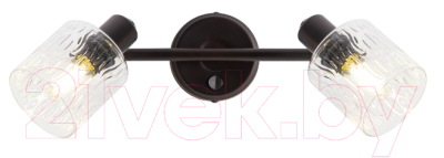 Спот Citilux Артик CL510525 - фото