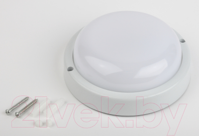 Светильник ЖКХ ЭРА SPB-201-0-40К-012 / Б0047619