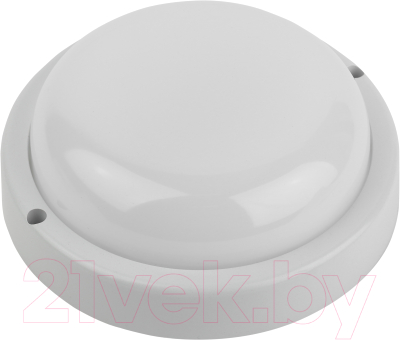 Светильник ЖКХ ЭРА SPB-201-1-40К-012 / Б0047630 - фото