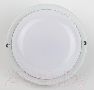 Светильник ЖКХ ЭРА SPB-201-2-40К-008 / Б0047634