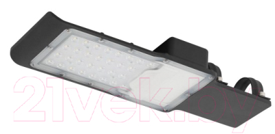 Светильник уличный ЭРА SPP-503-0-50K-050 / Б0043667 - фото