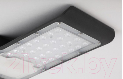 Светильник уличный ЭРА SPP-503-0-50K-050 / Б0043667