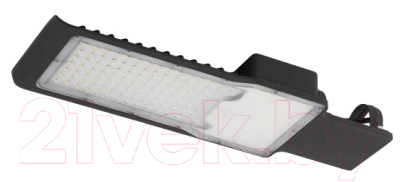 Светильник уличный ЭРА SPP-503-0-50K-080 / Б0043668 - фото