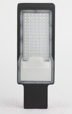 Светильник уличный ЭРА SPP-503-0-50K-080 / Б0043668