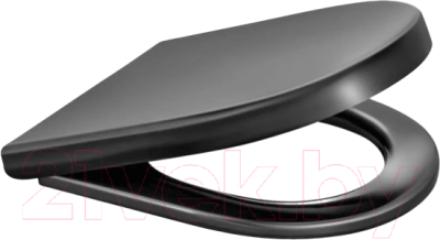 Сиденье для унитаза Berges Uno So Black / 018153 - фото
