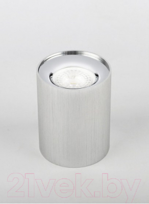 Точечный светильник ЭРА OL1 GU10 SL/CH / Б0041504