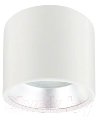 Точечный светильник ЭРА OL8 GX53 WH/SL / Б0048537 - фото