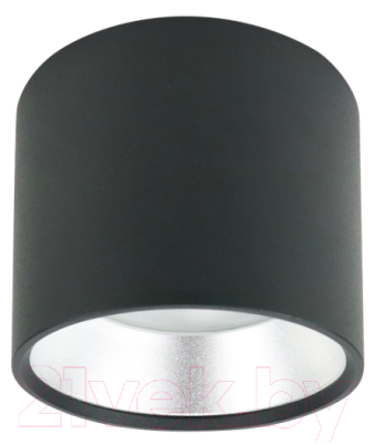 Точечный светильник ЭРА OL8 GX53 BK/SL / Б0048540 - фото