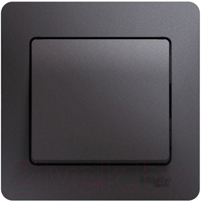 Выключатель Systeme (Schneider) Electric Glossa GSL001312 - фото