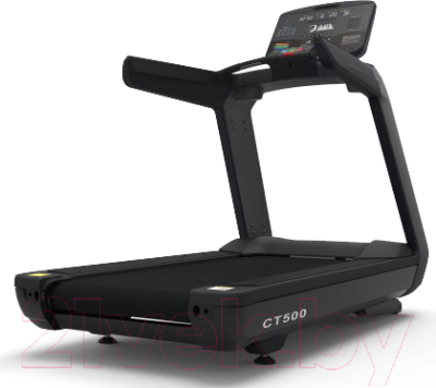 Электрическая беговая дорожка CardioPower Pro CT500