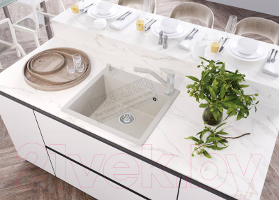 Мойка кухонная Polygran Argo-560