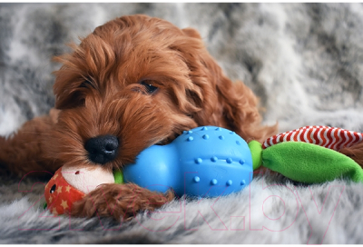 Игрушка для собак Rosewood Жирафик Джолли / 39042/RW