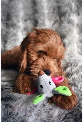 Игрушка для собак Rosewood Кенгуру с косточкой / 39043/RW