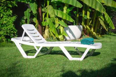 Шезлонг Ellastik Plast Элластик 187x63.5x32