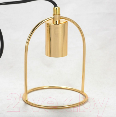 Потолочный светильник Lussole Loft Boone LSP-8425