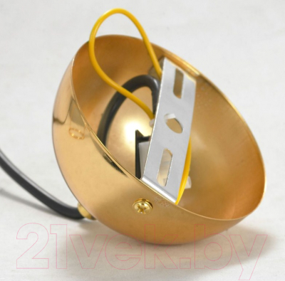 Потолочный светильник Lussole Loft Boone LSP-8425