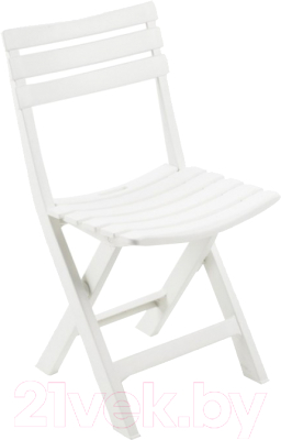 Стул складной Ipae Progarden Birki / BIR80CBI - фото