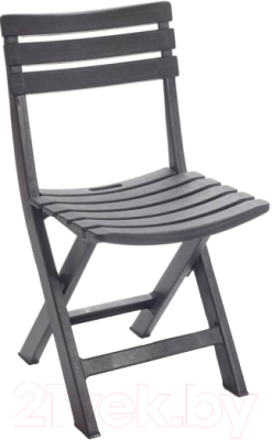 Стул складной Ipae Progarden Birki / BIR80CAN (антрацит) - фото