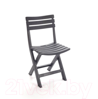 Стул складной Ipae Progarden Birki / BIR80CAN (антрацит)