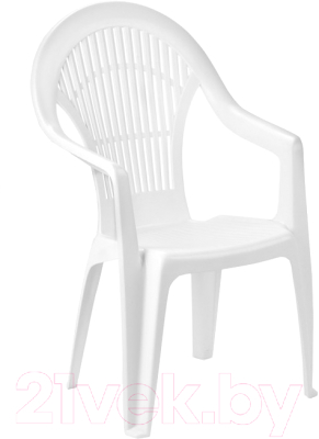 Стул пластиковый Ipae Progarden Vega / VEG152BI - фото