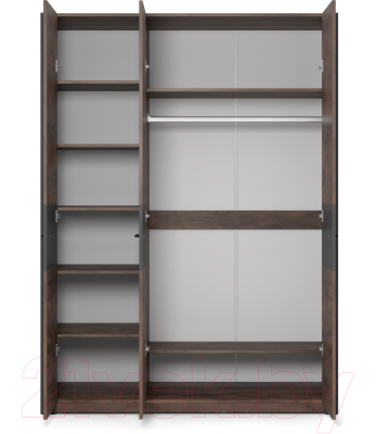 Шкаф MySTAR Вирджиния 100.1831