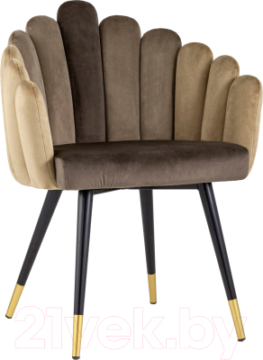 Стул Stool Group Камелия / DC-99011 HLR-47-46-10 (шоколад) - фото