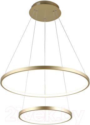 Потолочный светильник Aployt Lunet APL.014.03.60 - фото