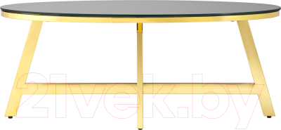 Журнальный столик Stool Group Альба 100x50 / ECT-095-O-TG (стекло черное/сталь золото) - фото