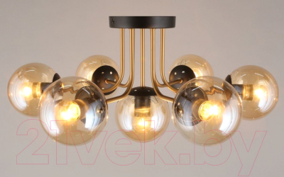 Люстра Aployt Ewka APL.906.07.07
