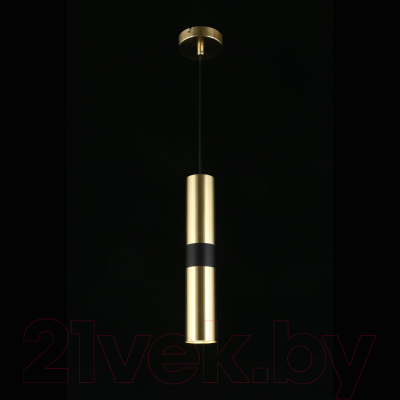 Потолочный светильник Aployt Mireil APL.607.16.01