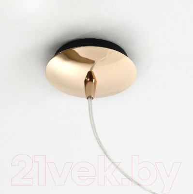 Потолочный светильник FAVOURITE Perpressa 2727-1P