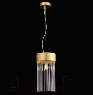 Потолочный светильник ST Luce Contatto SL1225.203.01