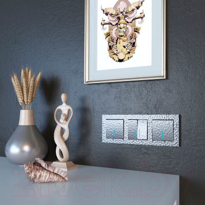 Рамка для выключателей и розеток Werkel W0032406 / a052520