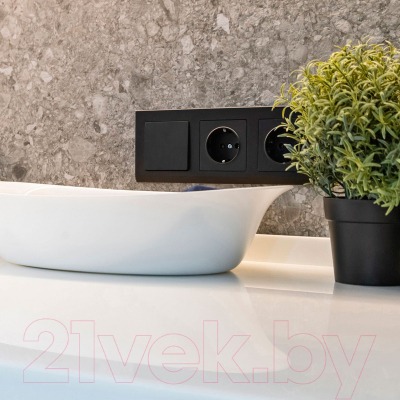 Рамка для выключателей и розеток Werkel W0031808 / a050925