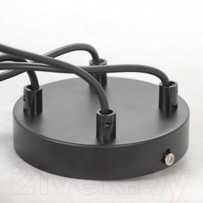 Люстра Lussole LSP-8411