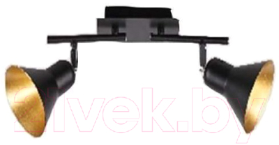 Потолочный светильник Aitin-Pro C1003/2 (черный) - фото