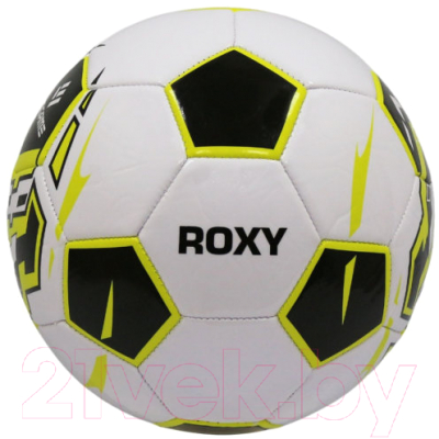 Футбольный мяч Ingame Roxy