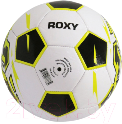 Футбольный мяч Ingame Roxy